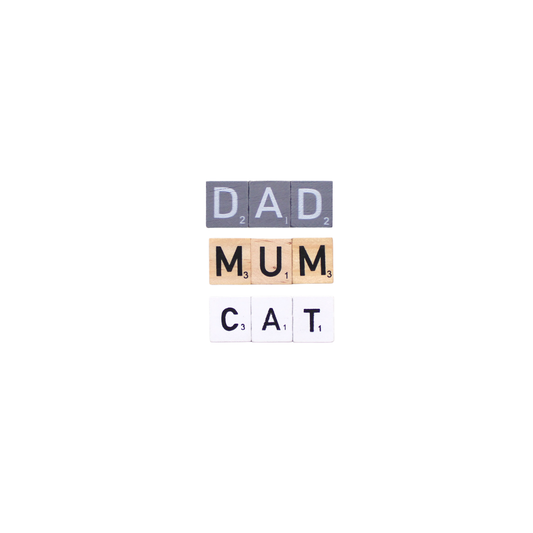 Extra Magnetic Letter Tiles